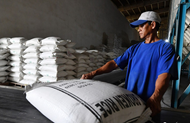 China becomes Viet Nam’s second-largest rice export market